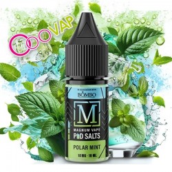 Magnum Salt Polar Mint 10mg