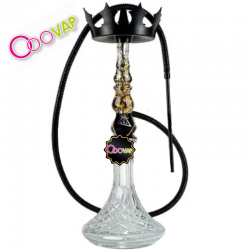 Nayb hookah 2.0 Autum
