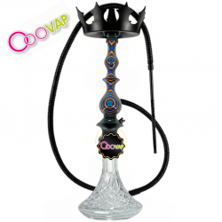 Regal Queen Diamond Wood - Af