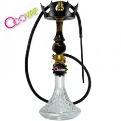 Amazon Hookah Cartier 1º...