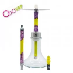 Chameleon Mini Ametryne
