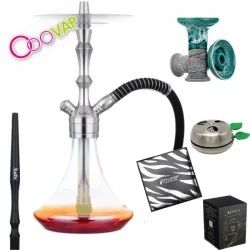 Pack cachimba Aladin hookah...