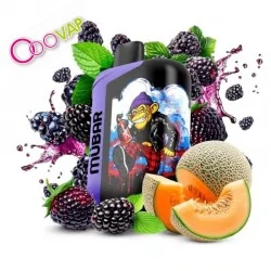 Blackberry Melon Mint -...