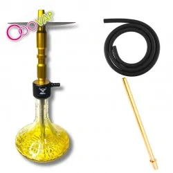 Toro Hookah Al Maydan Gold con mangera