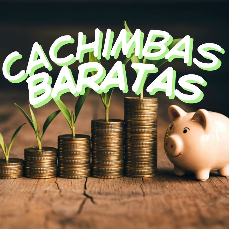 Cachimbas baratas: calidad y diseño al mejor precio